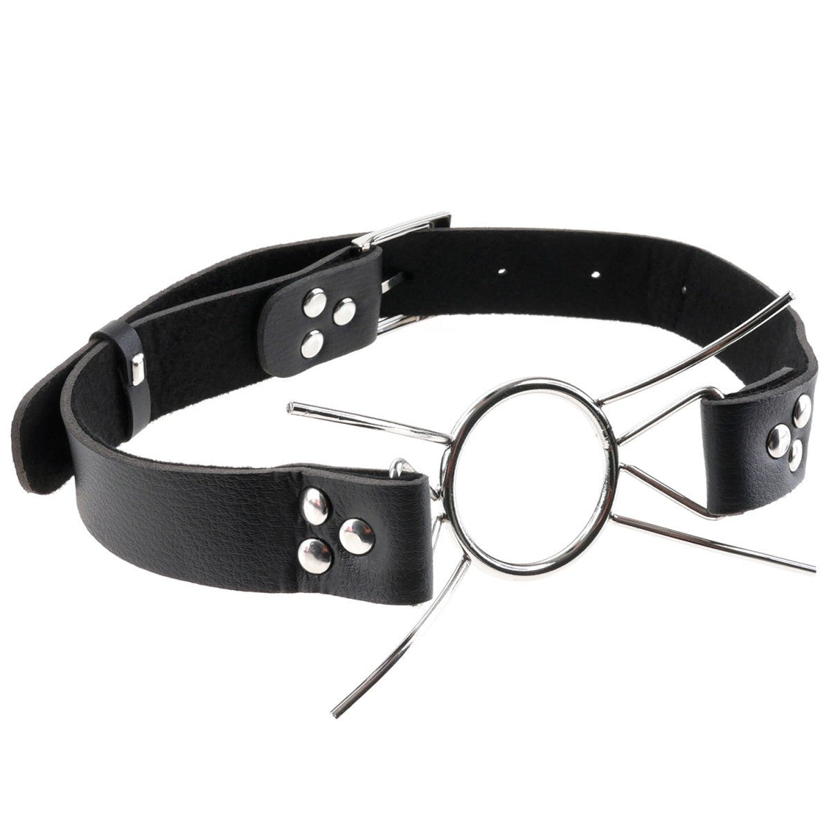 Fetish Fantasy Spider Gag - Lovebunny.se