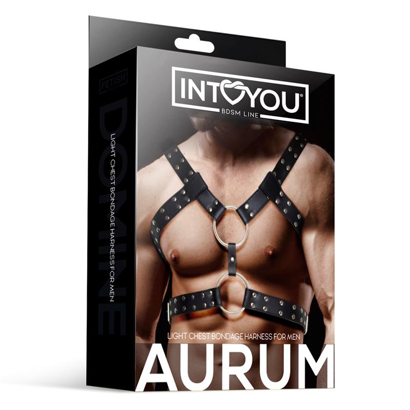 INTOYOU Aurum Harness Vegan Leather - Lovebunny.se