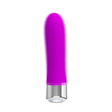 Pretty Love Vibe Sebastian Silicone Lila - Lovebunny.se